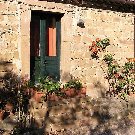 Casa Migliaca Villa Pettineo Oda fotoğraf