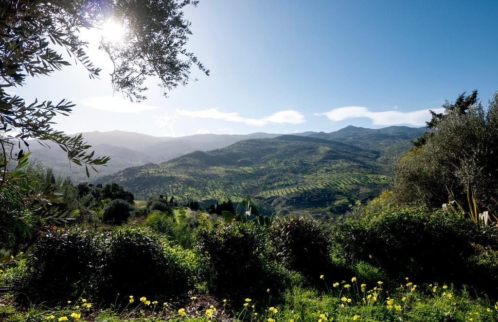 Casa Migliaca Villa Pettineo Dış mekan fotoğraf