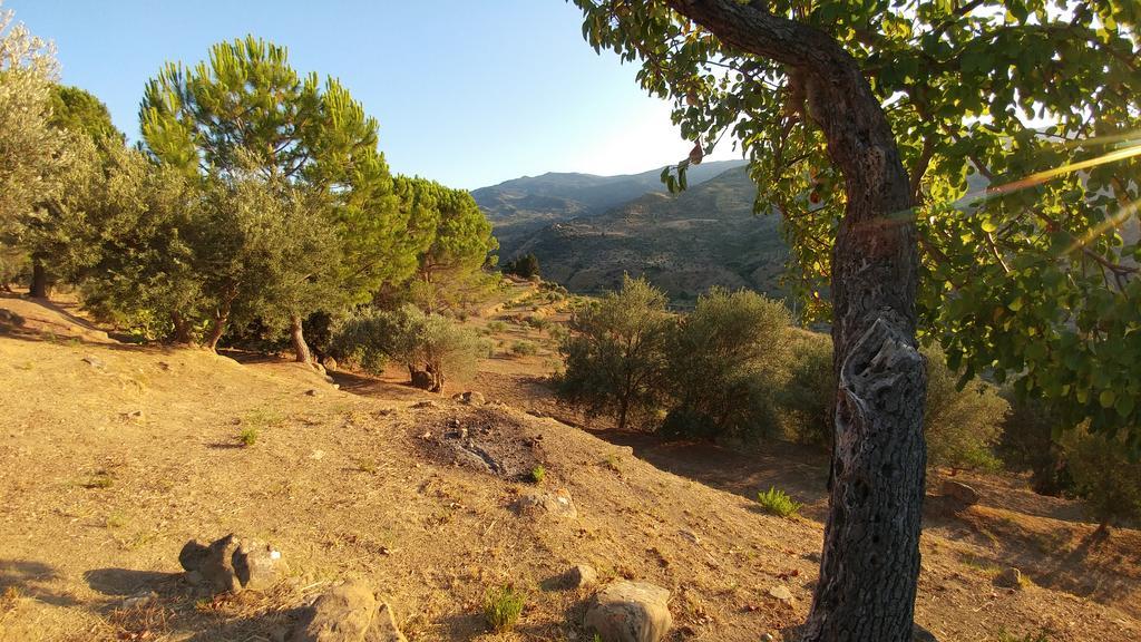 Casa Migliaca Villa Pettineo Dış mekan fotoğraf