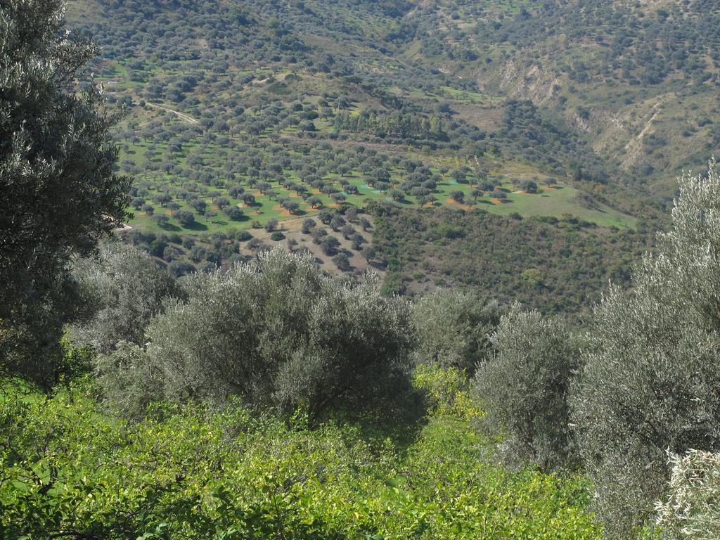 Casa Migliaca Villa Pettineo Dış mekan fotoğraf