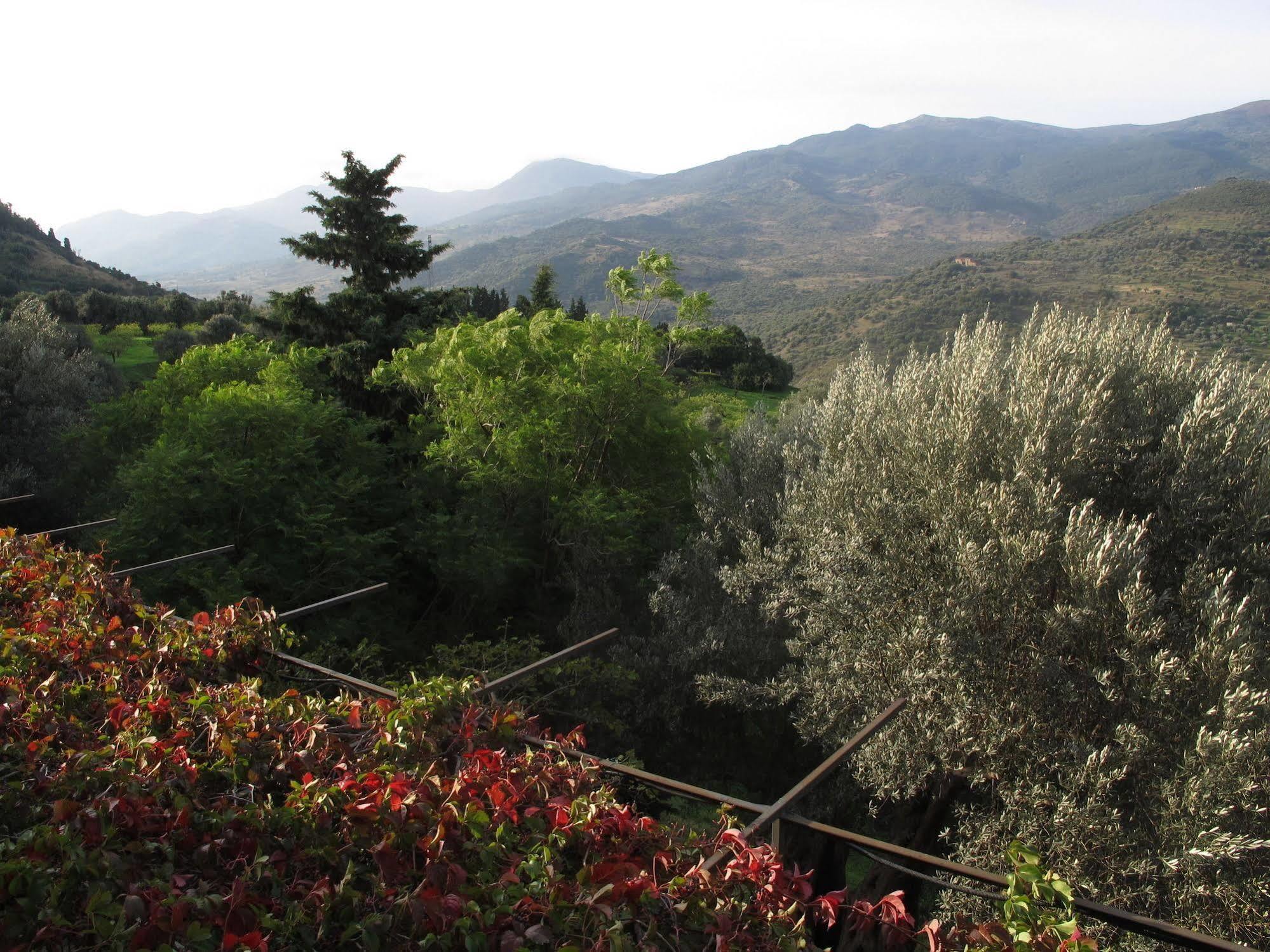 Casa Migliaca Villa Pettineo Dış mekan fotoğraf