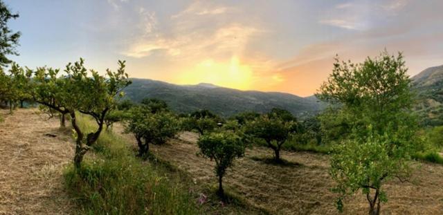 Casa Migliaca Villa Pettineo Dış mekan fotoğraf
